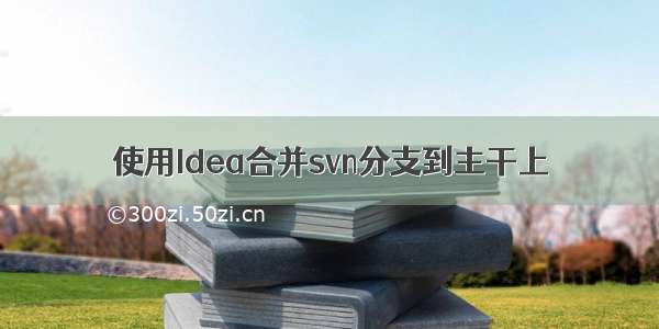 使用Idea合并svn分支到主干上