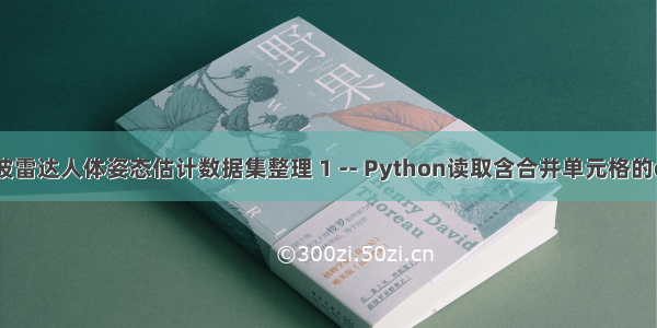 毫米波雷达人体姿态估计数据集整理 1 -- Python读取含合并单元格的excel