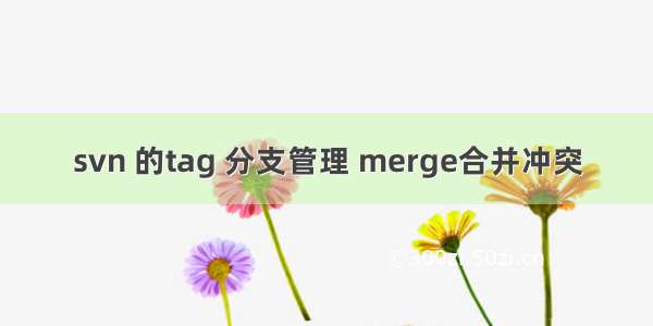 svn 的tag 分支管理 merge合并冲突