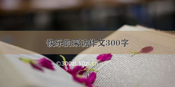 快乐的采访作文300字