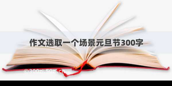 作文选取一个场景元旦节300字