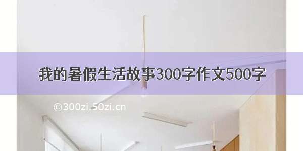 我的暑假生活故事300字作文500字