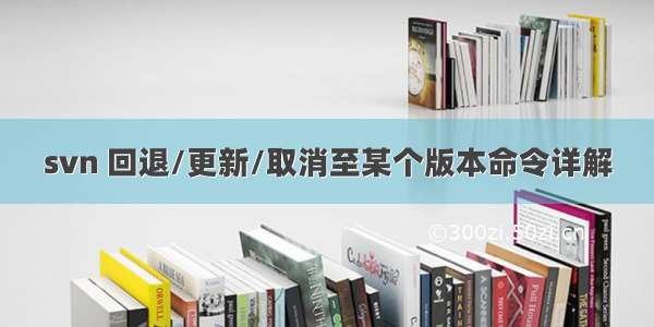 svn 回退/更新/取消至某个版本命令详解