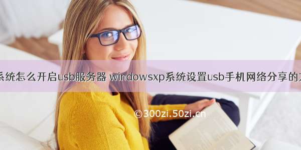xp系统怎么开启usb服务器 windowsxp系统设置usb手机网络分享的方法