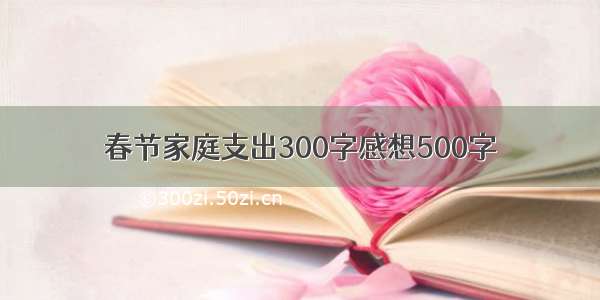 春节家庭支出300字感想500字