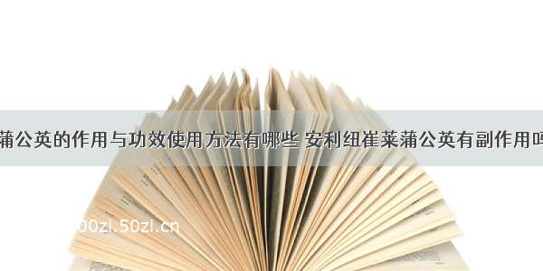 蒲公英的作用与功效使用方法有哪些 安利纽崔莱蒲公英有副作用吗