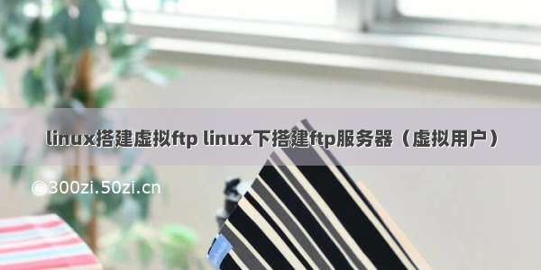 linux搭建虚拟ftp linux下搭建ftp服务器（虚拟用户）