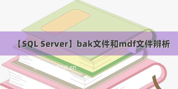 【SQL Server】bak文件和mdf文件辨析