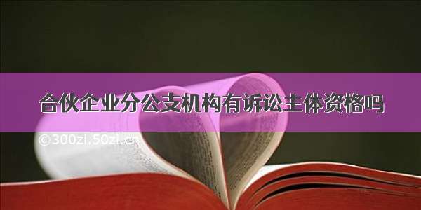 合伙企业分公支机构有诉讼主体资格吗