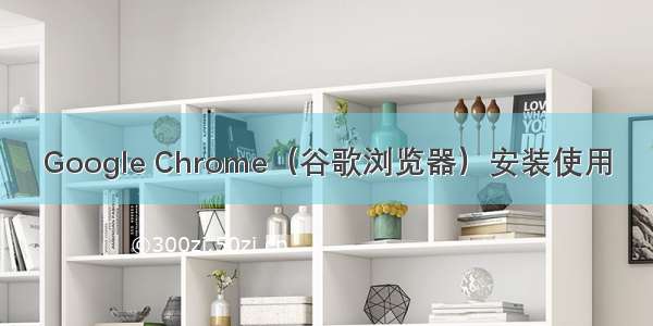 Google Chrome（谷歌浏览器）安装使用