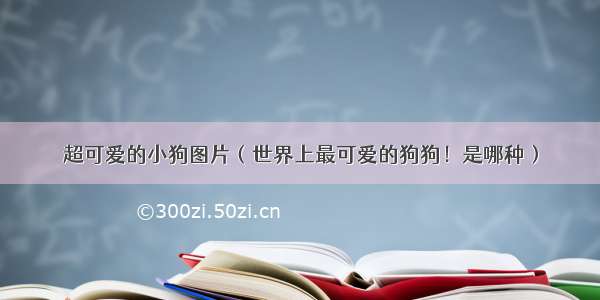 超可爱的小狗图片（世界上最可爱的狗狗！是哪种）