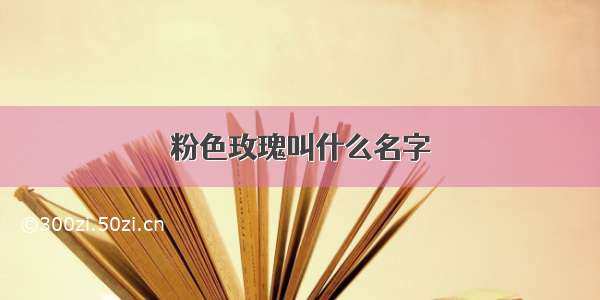 粉色玫瑰叫什么名字