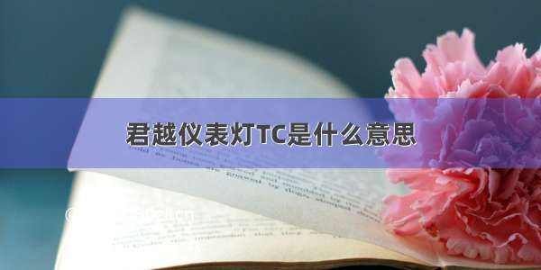 君越仪表灯TC是什么意思