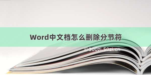 Word中文档怎么删除分节符