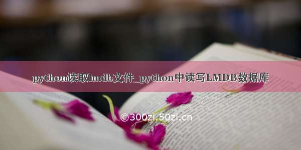 python读取lmdb文件_python中读写LMDB数据库