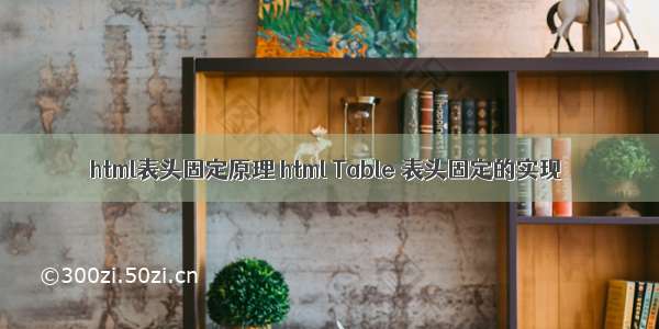 html表头固定原理 html Table 表头固定的实现