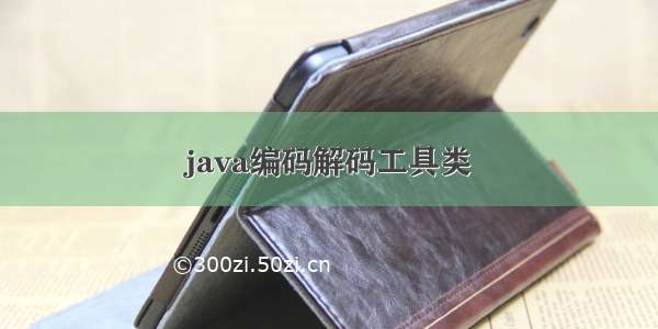 java编码解码工具类