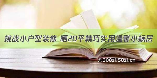 挑战小户型装修 晒20平精巧实用温馨小蜗居