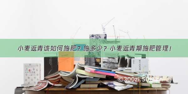 小麦返青该如何施肥？施多少？小麦返青期施肥管理！