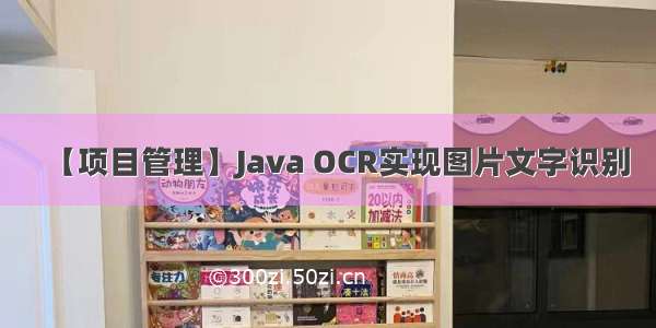 【项目管理】Java OCR实现图片文字识别