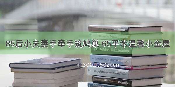 85后小夫妻手牵手筑鸠巢 65平米温馨小金屋