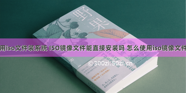 服务器怎么用iso文件装系统 ISO镜像文件能直接安装吗 怎么使用iso镜像文件安装系统...