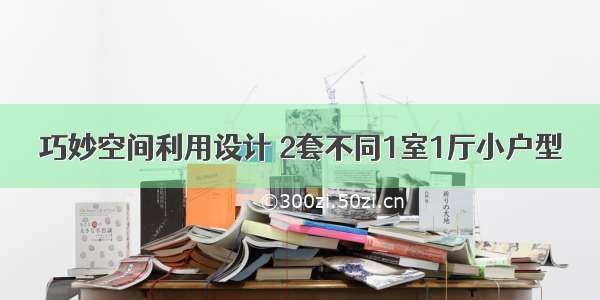 巧妙空间利用设计 2套不同1室1厅小户型