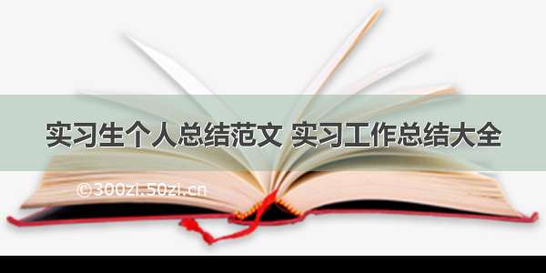 实习生个人总结范文 实习工作总结大全