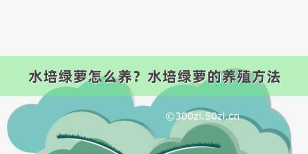 水培绿萝怎么养？水培绿萝的养殖方法