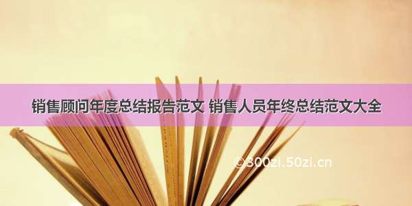 销售顾问年度总结报告范文 销售人员年终总结范文大全