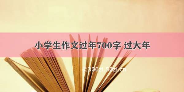 小学生作文过年700字 过大年