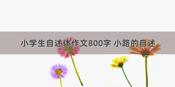 小学生自述体作文800字 小路的自述