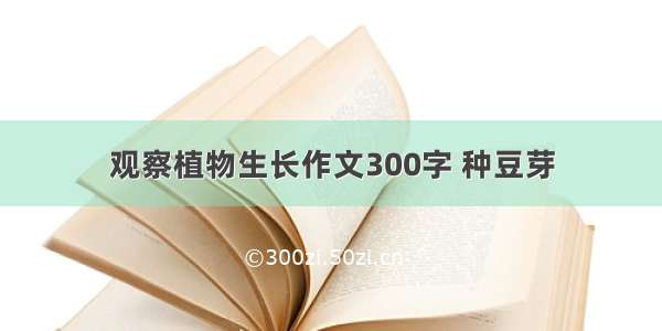 观察植物生长作文300字 种豆芽