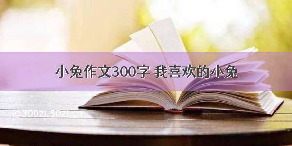 小兔作文300字 我喜欢的小兔