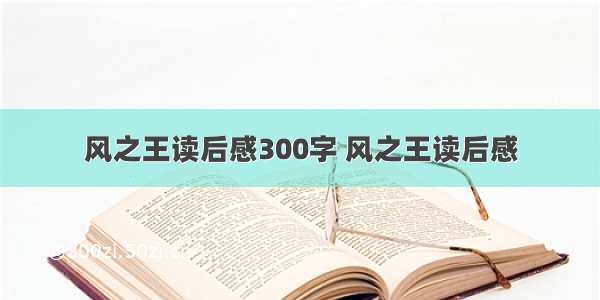 风之王读后感300字 风之王读后感