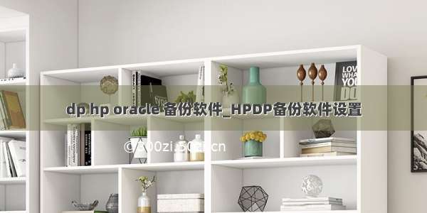 dp hp oracle 备份软件_HPDP备份软件设置