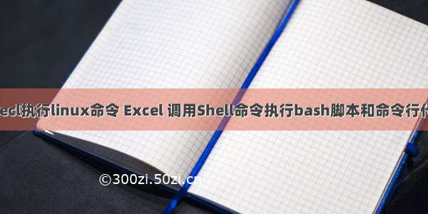 execl执行linux命令 Excel 调用Shell命令执行bash脚本和命令行代码