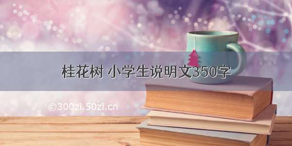 桂花树 小学生说明文350字