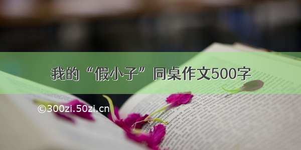 我的“假小子”同桌作文500字