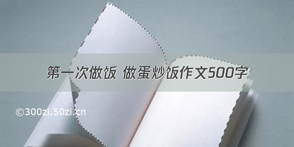 第一次做饭 做蛋炒饭作文500字