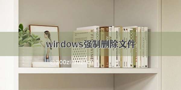 windows强制删除文件