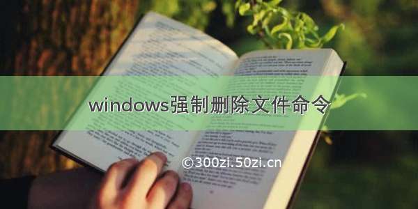 windows强制删除文件命令