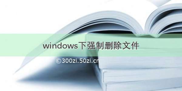 windows下强制删除文件