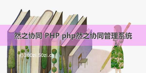 然之协同 PHP php然之协同管理系统