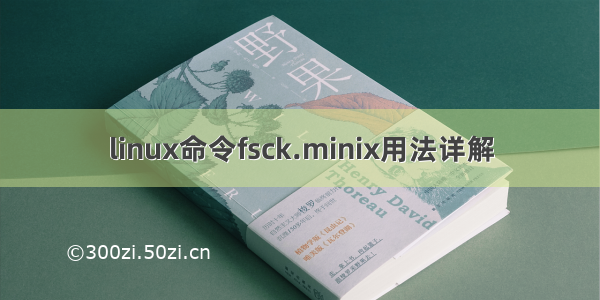 linux命令fsck.minix用法详解