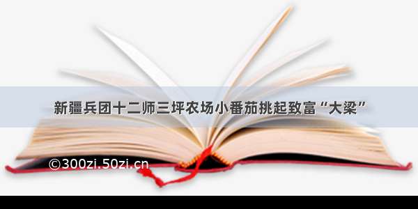 新疆兵团十二师三坪农场小番茄挑起致富“大梁”