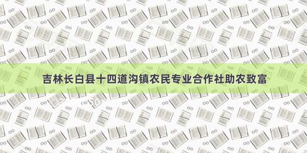 吉林长白县十四道沟镇农民专业合作社助农致富