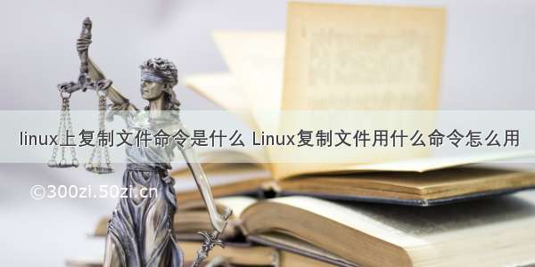linux上复制文件命令是什么 Linux复制文件用什么命令怎么用