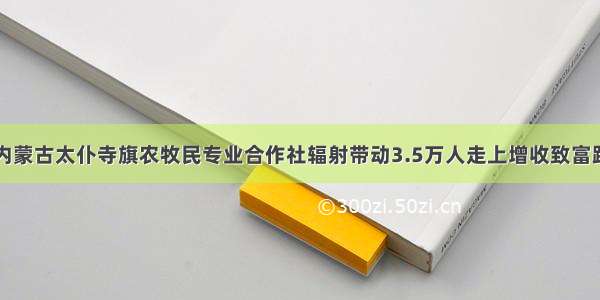 内蒙古太仆寺旗农牧民专业合作社辐射带动3.5万人走上增收致富路