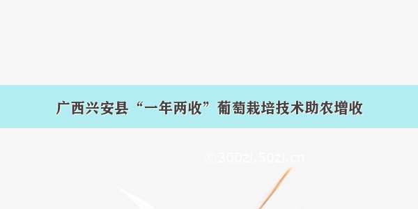 广西兴安县“一年两收”葡萄栽培技术助农增收